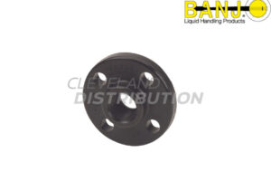 1" Female Threaded Ansi Flange, banjo ibc tank accessories for agricultural sprayers
