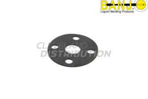 1" Ansi Flange FKM Gasket, banjo ibc tank accessories for agricultural sprayers
