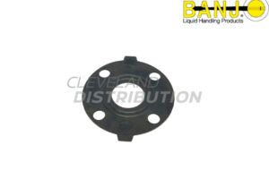 2" Ansi Flange EPDM Gasket, banjo ibc tank accessories for agricultural sprayers