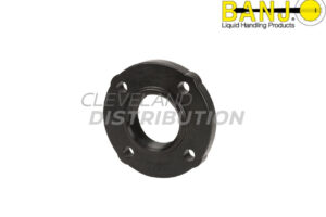 3" Female Threaded Ansi Flange, banjo ibc tank accessories for agricultural sprayers