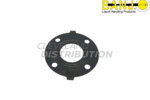 3" Ansi Flange EPDM Gasket, banjo ibc tank accessories for agricultural sprayers