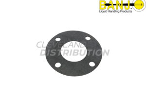 3" Ansi Flange FKM Gasket, banjo ibc tank accessories for agricultural sprayers