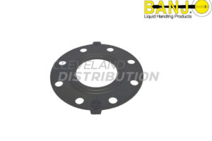 4" Ansi Flange EPDM Gasket, banjo ibc tank accessories for agricultural sprayers