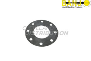 4" Ansi Flange FKM Gasket, banjo ibc tank accessories for agricultural sprayers