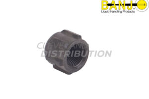 ¾" Poly Pipe Cap