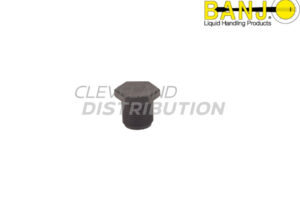 ¾" Poly Pipe Plug