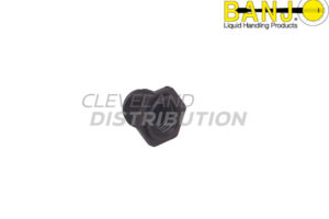 ⅜" MPT X ¼" FPT Reducing Bushing