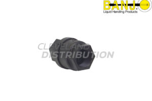 2" Full Port Check Valve