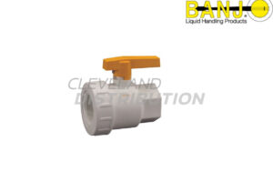 2" Union Valve FDA Buna