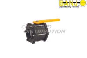 3" Full Port British Standard Pipe Poly Valve