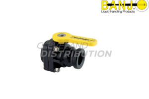 2" Male Adapter X 2"  Female NPT Valve