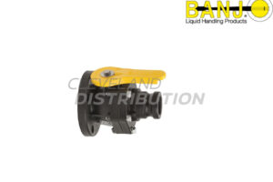 2" Full Port Valve Male Adapter X 2" Ansi Flange