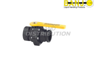 3" Female NPT X 3"  Male Adapter Valve