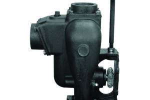 2" Cast Iron Pump Only W/ 3/4" Shaft Sleeve