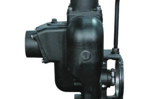 3" Cast Iron Pump Only W/ 1" Shaft Sleeve